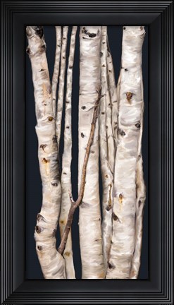 Framed Birch Tree I Print