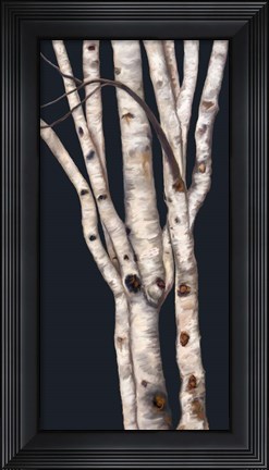 Framed Birch Tree II Print