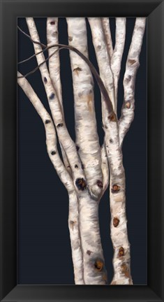 Framed Birch Tree II Print