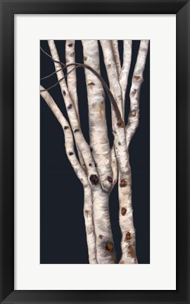 Framed Birch Tree II Print