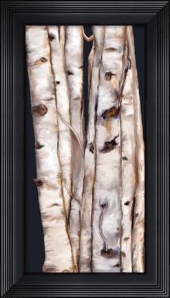Framed Birch Tree III Print