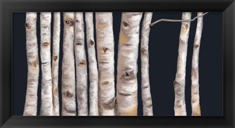 Framed Birch Grove I Print