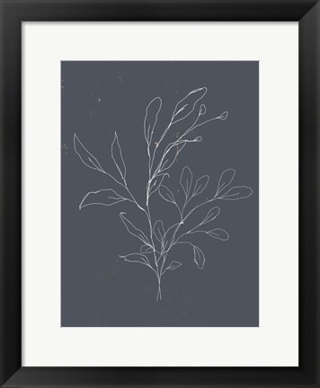 Framed Soft Bouquet I Print