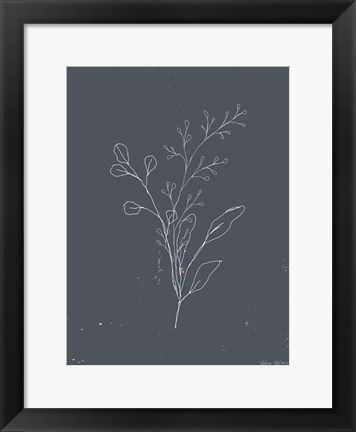 Framed Soft Bouquet II Print