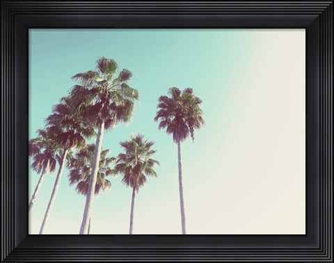 Framed Palms Against The Evening Sky Print