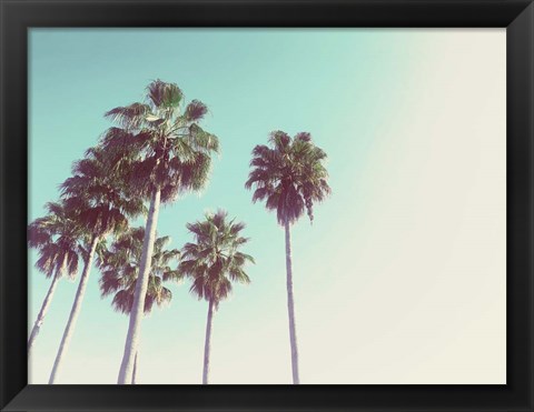 Framed Palms Against The Evening Sky Print