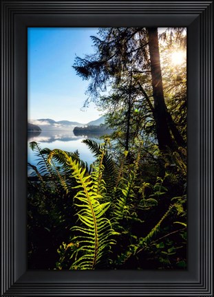 Framed Lake Side View Print