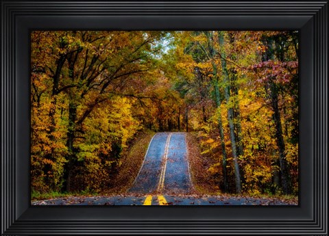 Framed Woodland Road I Print