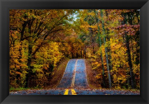Framed Woodland Road I Print