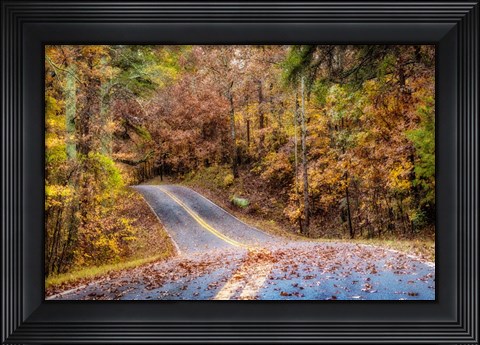 Framed Woodland Road II Print