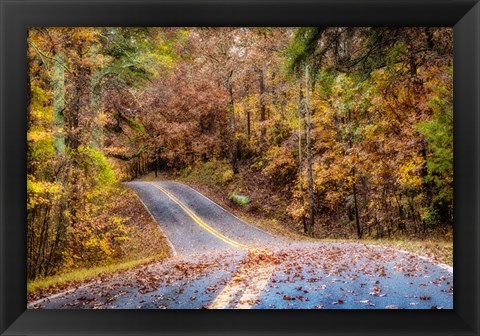 Framed Woodland Road II Print