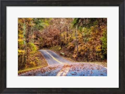 Framed Woodland Road II Print