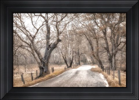 Framed Late Afternoon Walk Print