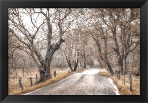 Framed Late Afternoon Walk Print