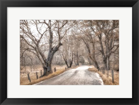 Framed Late Afternoon Walk Print