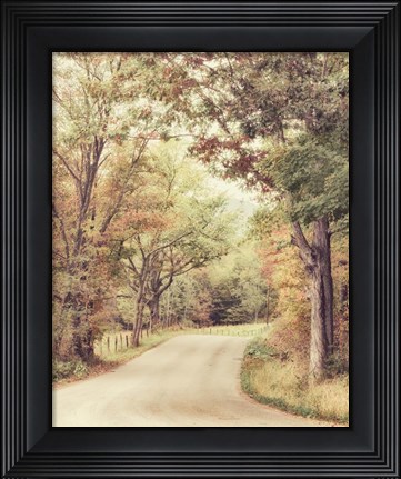 Framed Along The Path Print