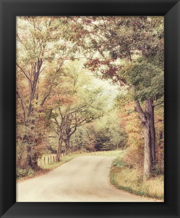 Framed Along The Path Print