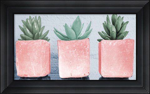 Framed Pink Potted Succulents Print