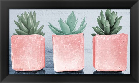 Framed Pink Potted Succulents Print