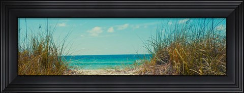 Framed Perfect Day I Print