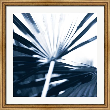 Framed Among Blue Palms I Print
