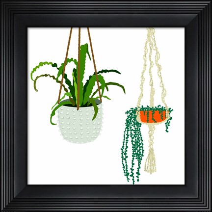 Framed Hanging Plant Duo Print