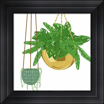 Framed Hanging Plant Set Print
