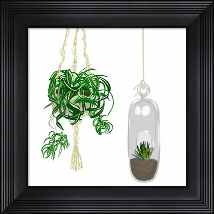 Framed Hanging Plant Set II Print