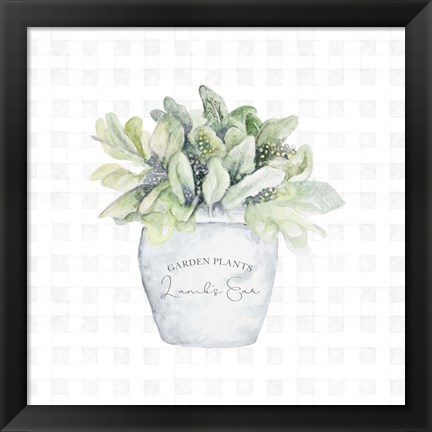 Framed Garden Plants III Print