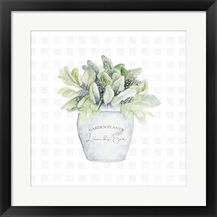 Framed Garden Plants III Print