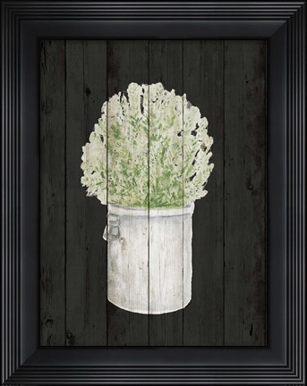 Framed Herbs on Black II Print
