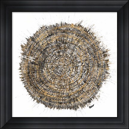Framed Mysterious Tree Ring Print