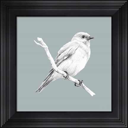 Framed Bird Study on Blue I Print