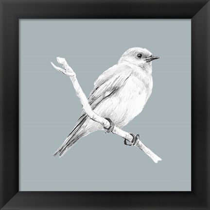 Framed Bird Study on Blue I Print