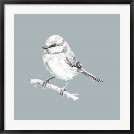 Framed Bird Study on Blue II Print