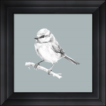 Framed Bird Study on Blue II Print