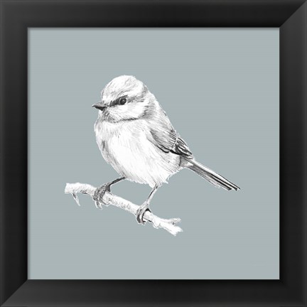 Framed Bird Study on Blue II Print