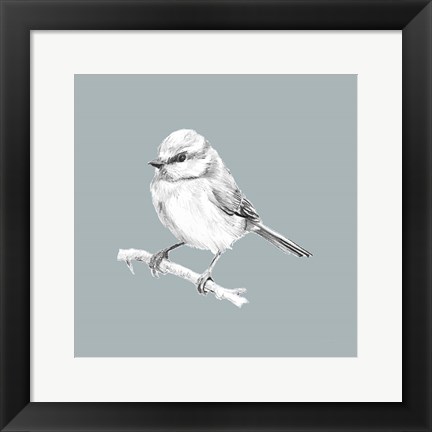 Framed Bird Study on Blue II Print