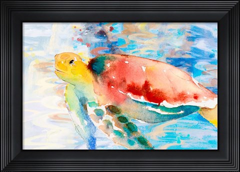 Framed Turtle Passing Trhough Print
