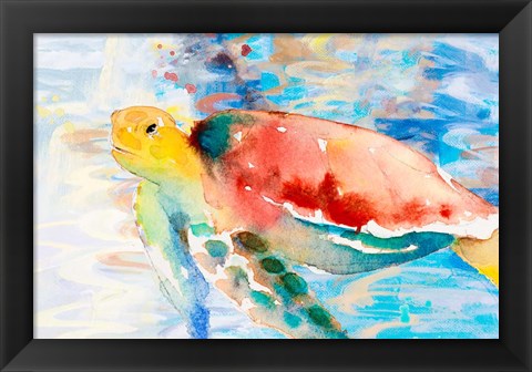 Framed Turtle Passing Trhough Print