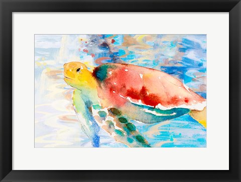 Framed Turtle Passing Trhough Print