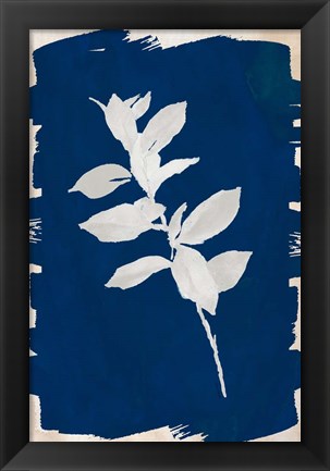 Framed White Leaf on Navy II Print