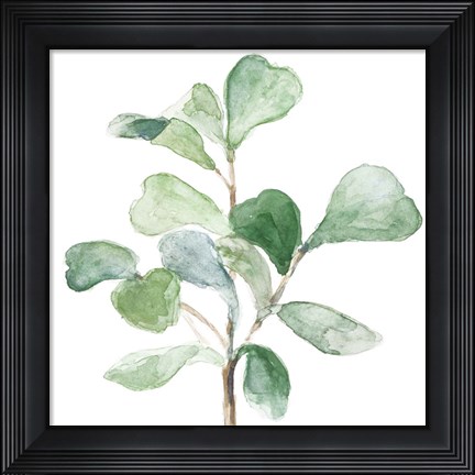 Framed Fiddle Fig Leaf Plant I Print