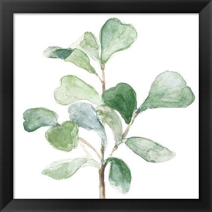 Framed Fiddle Fig Leaf Plant I Print