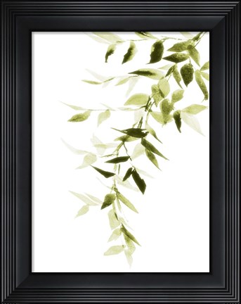 Framed Single Branch II Print