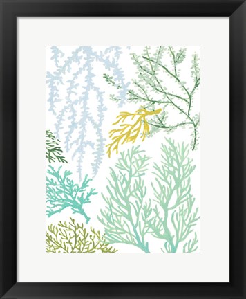 Framed Budding Vertical Coral I Print