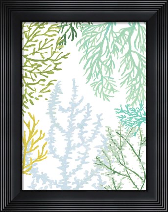 Framed Budding Vertical Coral II Print