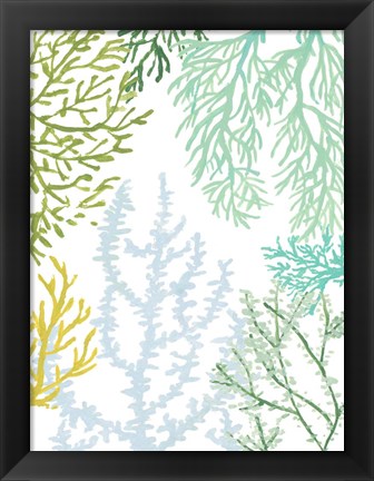 Framed Budding Vertical Coral II Print