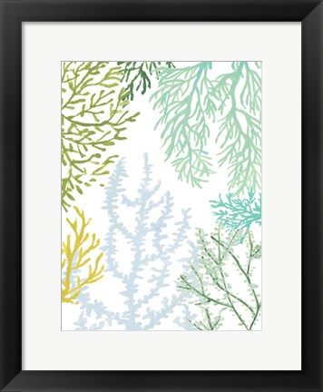 Framed Budding Vertical Coral II Print