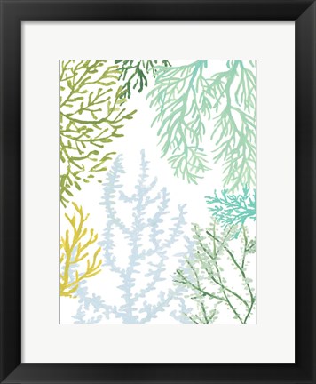 Framed Budding Vertical Coral II Print
